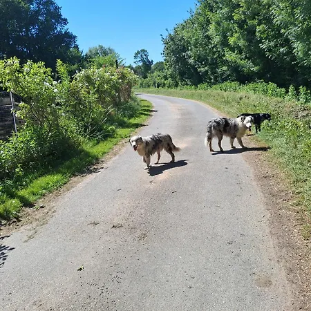 Le Mouton-3