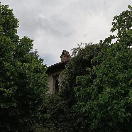 Agriturismo Il Poggio Degli Scoiattoli-3