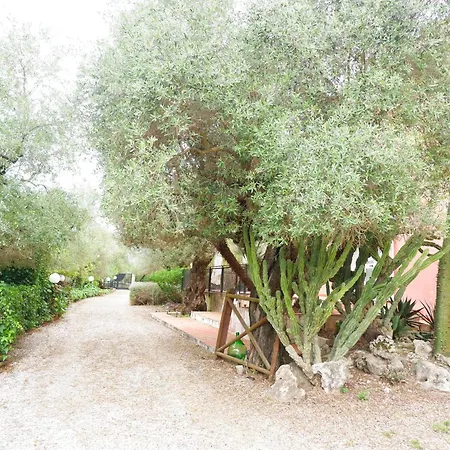 Tenuta Maison Angelina-2