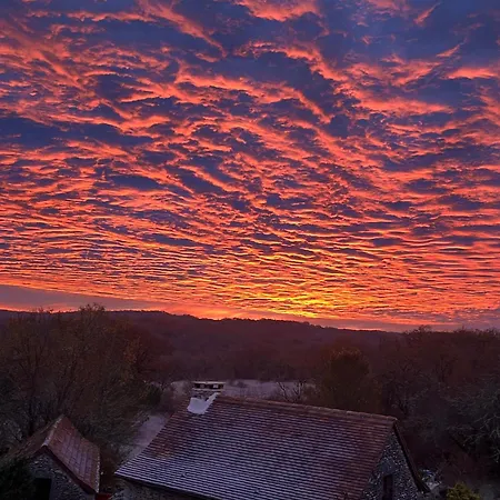 Eco-Immersion-3