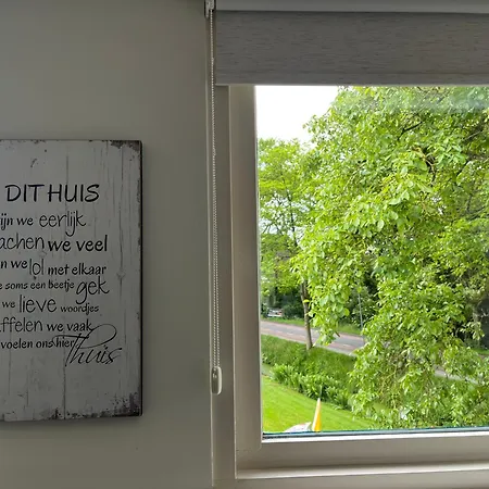 B&B Dol - Fijn-2