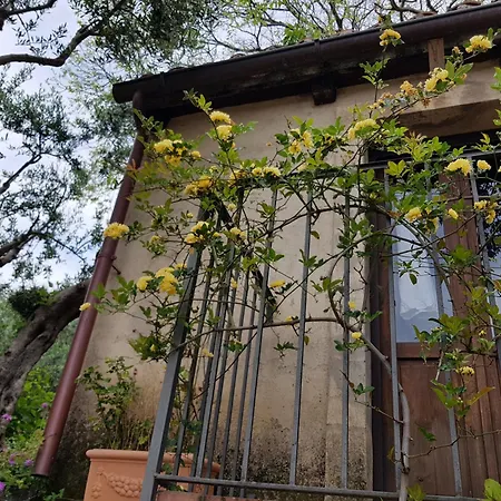 Bed And Breakfast Tenuta Palmieri Only Adult-3