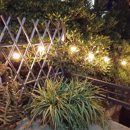 B&B il Palazzo Cirella-3
