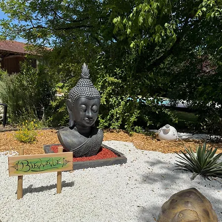 Instant Zen-2