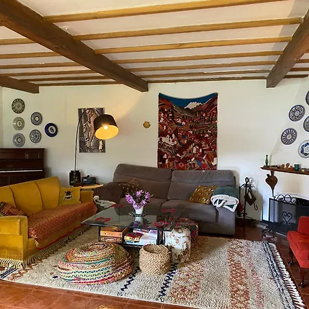 Casa SanAndo Integrative Medicine Treat&ReTreat Center-3