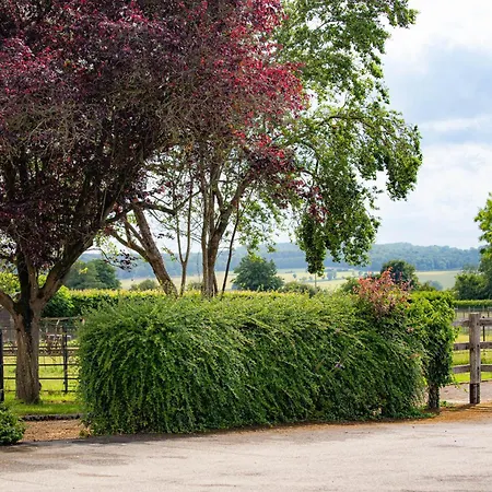 Banbury Hill Farm Bed & Breakfast-2