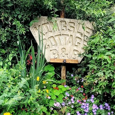 Kingsley Cottage Bed & Breakfast-3