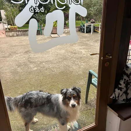 Magione B&B-2