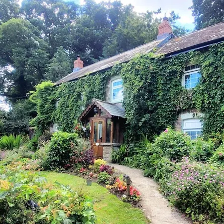 Kingsley Cottage Bed & Breakfast-2