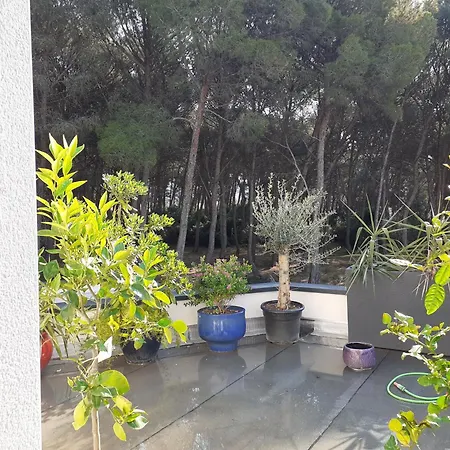 Pin D'Epice-3