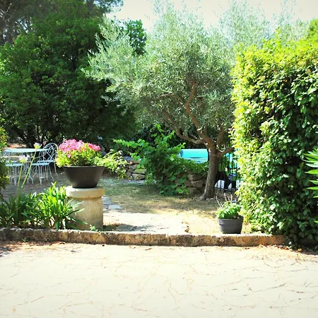 Terre de Bacchus-3