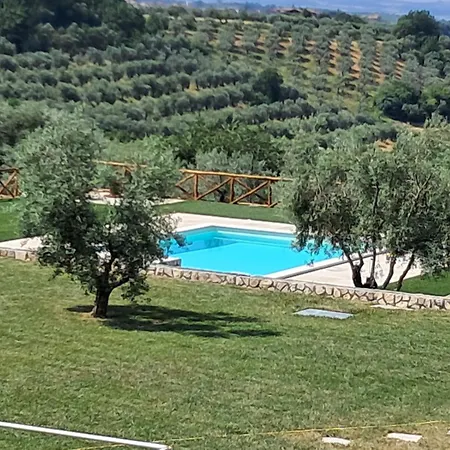 Il Giardino degli Ulivi-3