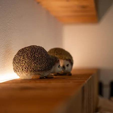 Fai le Coccole-2