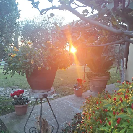 Casa degli Ulivi-2