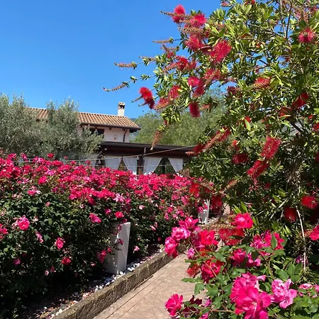 B&B Terre di Paestum-2