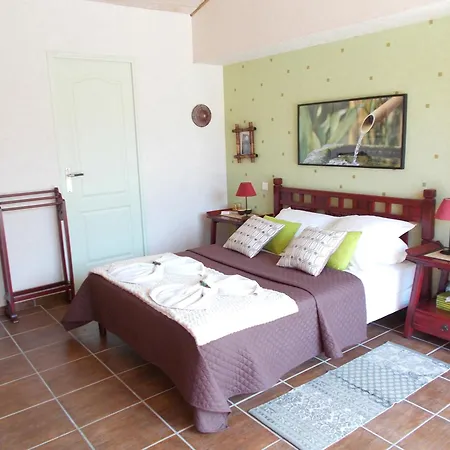 Le Clos des Palmiers-3