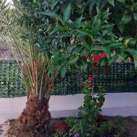 La casa di Donato-2