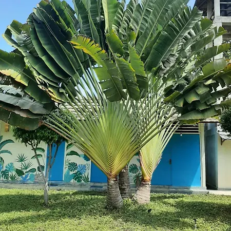 Casa Azzurra-2