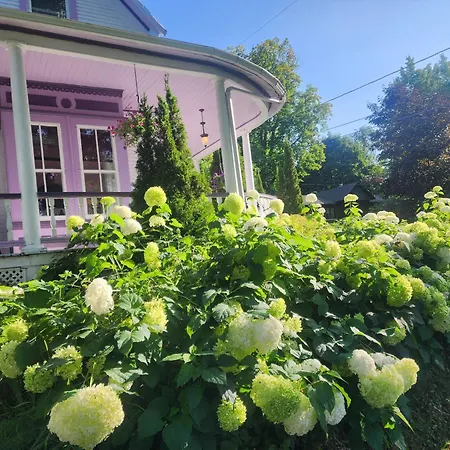 Ô Bois Dormant B&B-2