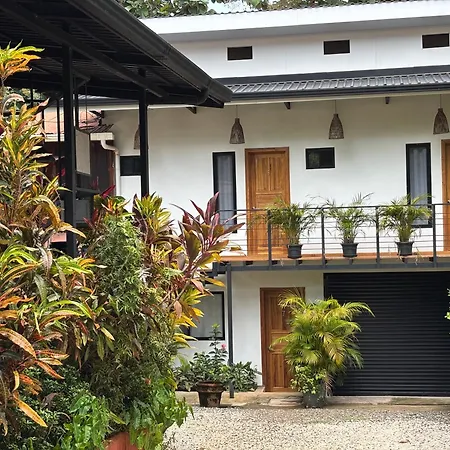 La Jungla-2