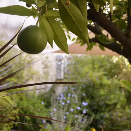 La Maison Des Augustins 4 Stars Spa Et Fitness-3