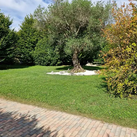 B&B Melograno MC-3