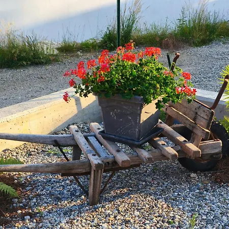 B&B Guglielmina-3