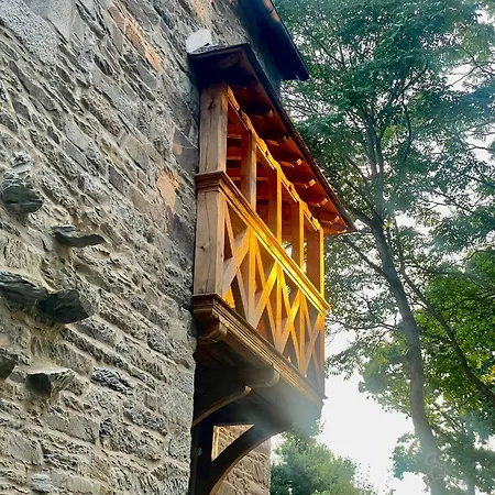 Manoir medieval du XV ieme siècle-2