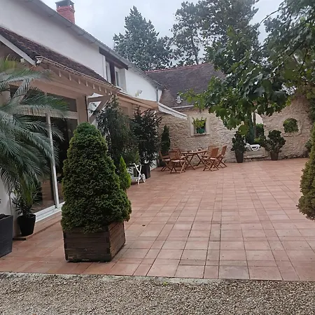 Les Ecureuils-3