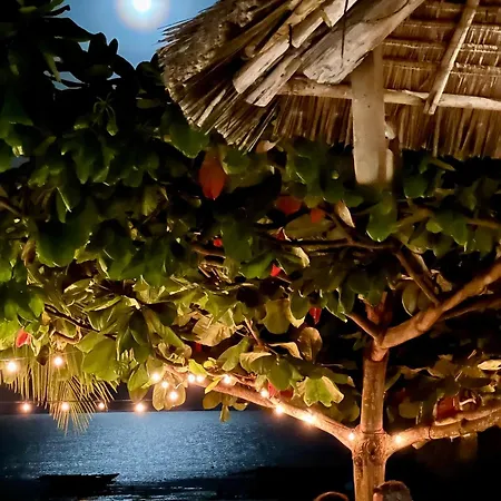 White Dream Lodge & Restaurant, Beach Front, Ocean View-2