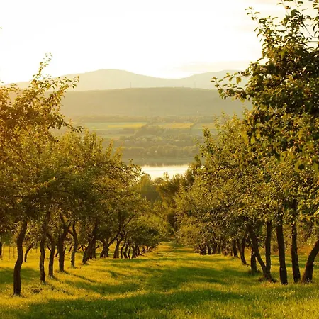Domaine Steinbach Cidrerie B&B Distillerie-2