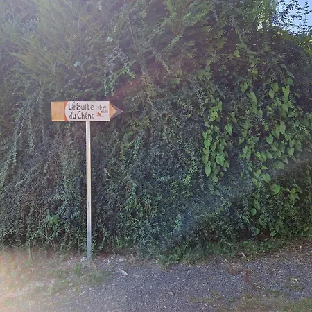 Au Gré Des Lis - La Suite Du Chêne-2