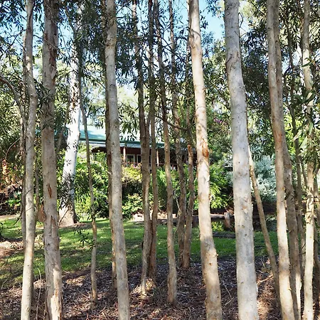 Lake Weyba Cottages Noosa-2