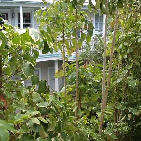 Coco Plum Inn-2