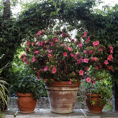 Orchid Corner Guesthouse-2