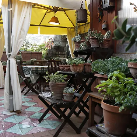 Orchid Corner Guesthouse-3