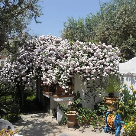 B&B La Rosa Antica-2