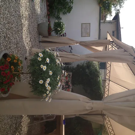 B&B La Mimosa-2