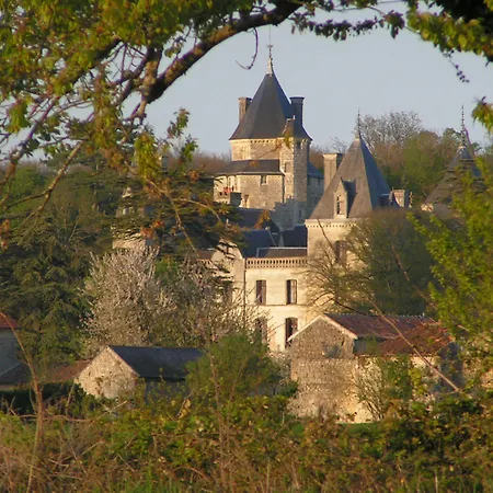 Chateau De Ternay-2