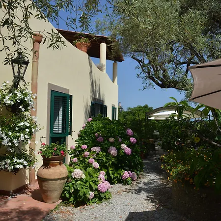 B&B Don Gaspano-3