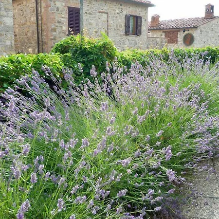 Villa Cristina-2