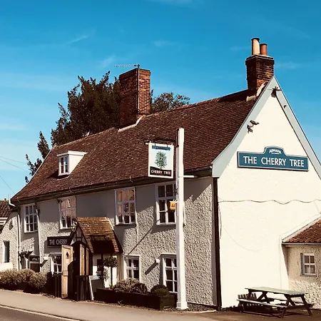 The Cherry Tree-3