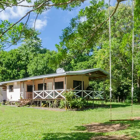 Epiphyte B & B-3