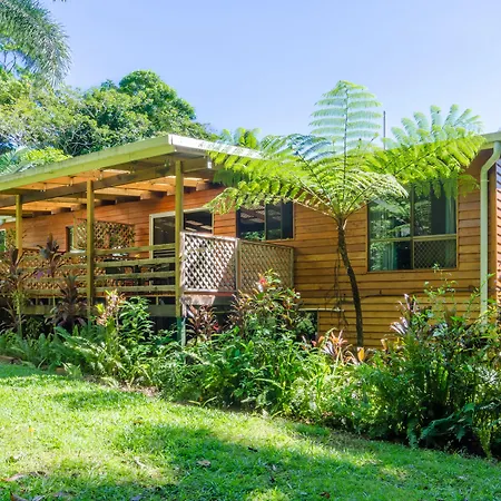 Epiphyte B & B-2