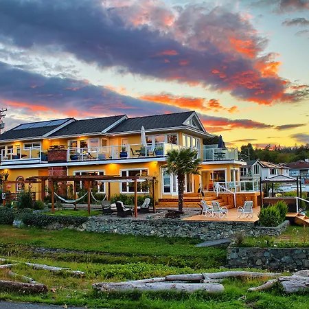 Birds Of A Feather Victoria Oceanfront Studio Suites-3