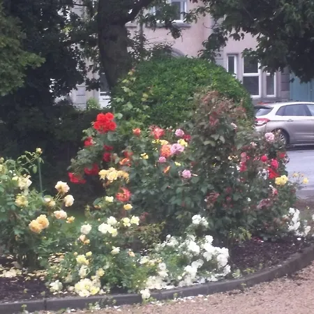 St Judes B&B-2