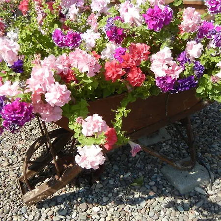 Rocky Point Ranch, Montana-3