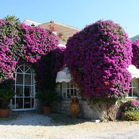 Tenuta Villa Tara-3