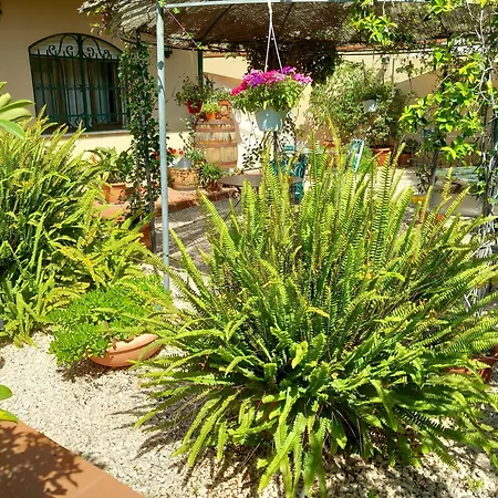 Bed And Breakfast Rosangela-2