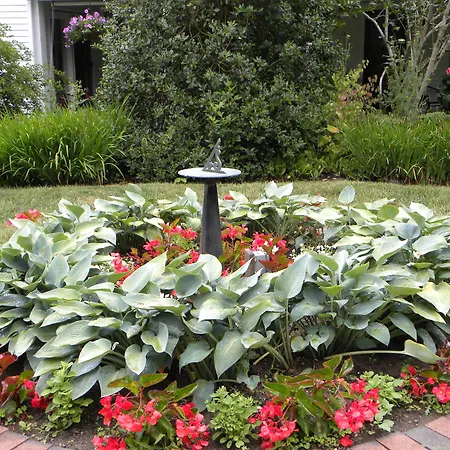 Candleberry Inn On Cape Cod-2